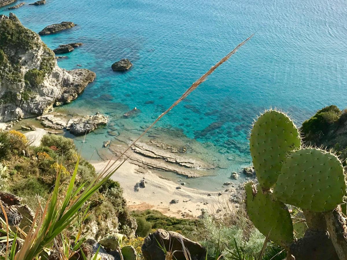Villa Kore, Capo Vaticano Eksteriør bilde